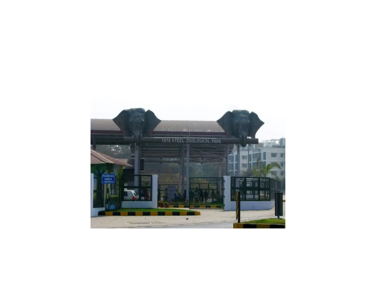 tata-zoological-park-jamshedpur-timings-ticket-price